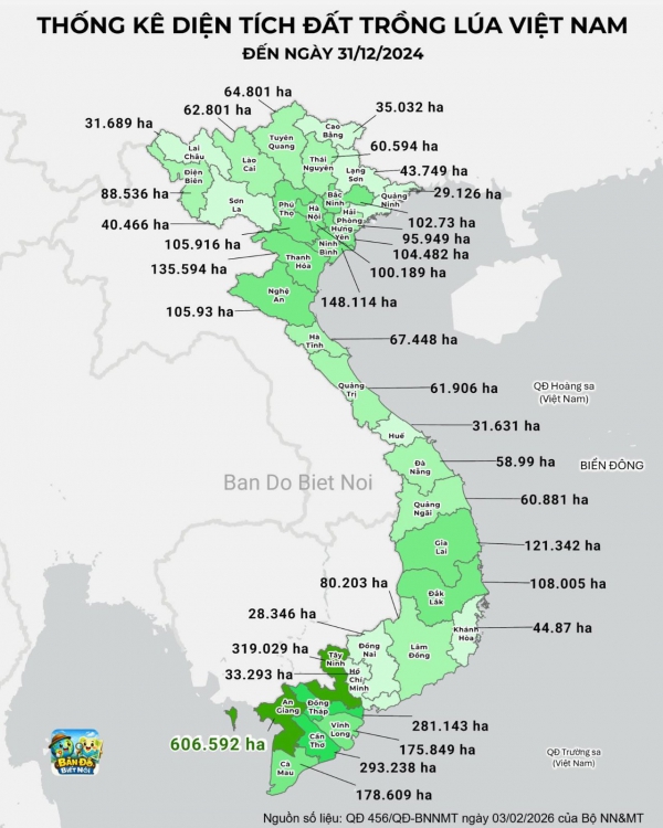 Thống K&ecirc; Diện T&iacute;ch Đất Trồng L&uacute;a Việt Nam Đến 31/12/2024