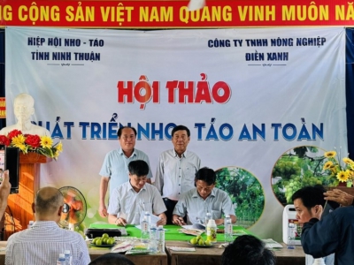 Điền xanh tham gia h&ocirc;i thảo ph&aacute;t triển nho - t&aacute;o an to&agrave;n tỉnh Ninh Thuận