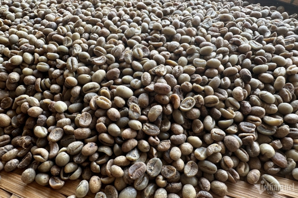 Chưa đầy nửa năm, một loại hạt của Việt Nam đã thu về hơn 3 tỷ USD