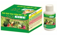 Giới thiệu sản phẩm điều h&ograve;a tăng trưởng DX - Gibe
